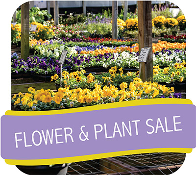 American Heritage Girls Flower & Plant Sale 